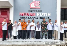 Bupati Sinjai Cek Kesiapan Koperasi Desa Merah Putih di Bulupoddo