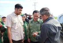 Serangan OPT Ancam, Pemkab Pinrang Lakukan Penyemprotan Massal