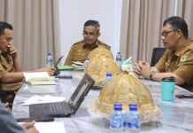 Wabup Dorong Optimalisasi RTH Demi Kualitas Hidup Warga