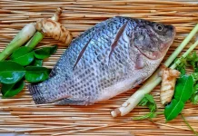 Kandungan Gizi dan Manfaat Ikan Nila
