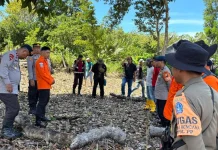 Basarnas Turun Tangan Cari Lansia Hilang di Kabupaten Bone
