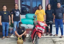 Pelaku Pencurian 8 Karung Gabah Diringkus Aparat Polisi