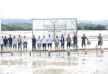 Tanam Perdana PM-ASS di Kahu, Bupati Bone Dorong Modernisasi Pertanian