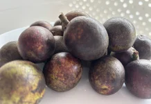 Mengenal Buah Matoa, Si Manis Khas Dari Papua
