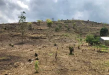 Aktivitas Tambang dan Alih Fungsi Lahan Ancam Ketahanan Air di Bone
