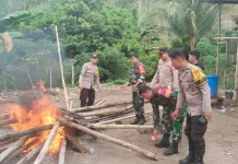 Polisi Bongkar Arena Judi Sabung Ayam di Bone