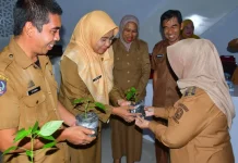 Tekan Inflasi Pangan, Pemkab Sinjai Perkuat Gerakan Komunitas ASN Punya Cabai+