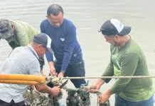 Pemerintah Kecamatan Tanete Riattang Timur Gelar Aksi Bersih Lingkungan di Bajoe