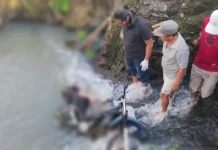 Pengendara Ojek Tewas Terjun dari Jembatan PanasaeE Tonrange Bone