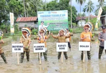 Bupati Bone Tanam Perdana Padi IP 300 Swasembada Pangan