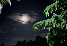 Mengenal Fenomena Strawberry Moon yang Menghiasi Langit Malam di Bulan Juni