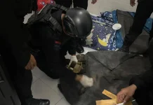 Granat dan Amunisi Ditemukan di Rumah Warga di Bone