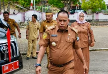 DPPKB Bone Perkuat Pembinaan Keluarga melalui 1.800 Tim Pendamping