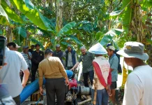 Cegah Gagal Panen, Bupati Pinrang Genjot Langkah Pompanisasi