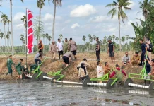 Bupati Bone Pimpin Gerakan Tanam Serempak Modern Advance Agriculture
