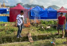 Dispora Sinjai Intensifkan Kerja Bakti jelang HUT Ke-81 RI