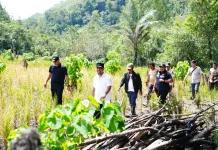 Gubernur Sulsel dan Bupati Bone Tinjau Irigasi Perpipaan Bengo