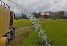 Kades Bune Sewa Tangki Air Selamatkan 500 Hektar Sawah Kekeringan