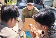 Cegah Penyakit pada Ayam dengan Vaksinasi dan Isolasi