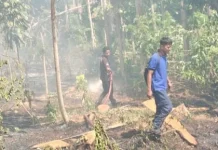 Damkar Padamkan Kebakaran Lahan Kebun di Bone