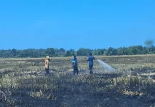 Damkar Bone Padamkan Kebakaran Lahan di Balieng