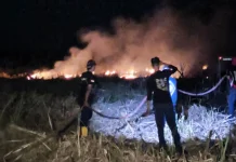 Kebakaran Lahan di Lakukang, Damkar Bone Sigap Padamkan Api