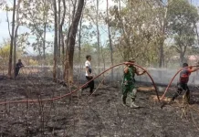 Sinergi TNI-Polri Padamkan Karhutlah di Gunung Sewo Soppeng