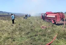 Kebakaran Terjadi di Lahan Kebun Tebu Pabrik Gula Arassoe Bone, Tak Ada Korban Jiwa