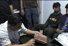 Pesan Ganja dari Luar Sulawesi, Dua Pria di Bone Diamankan Polisi