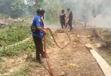 Gerak Cepat Damkar Bone Padamkan Kebakaran Lahan di Ulaweng