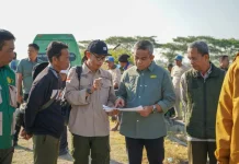 Drone Bantu Petani Pinrang Kendalikan Hama Padi