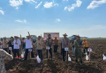 Polres Bone Dukung Perluasan Tebu Swasembada Gula Nasional