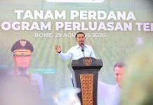 Bone Ditargetkan Menjadi Lumbung Tebu Sulawesi Selatan