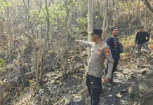 Satgas Karhutla Polres Soppeng Selidiki Kebakaran Gunung Sewo