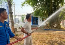 Bupati Bone Tinjau Perawatan Tanaman di Lapangan Merdeka Watampone