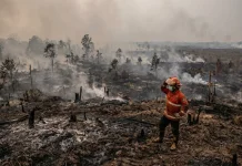 Musim Kemarau Panjang, Kades Laringgi Imbau Warga Waspada Potensi Kebakaran