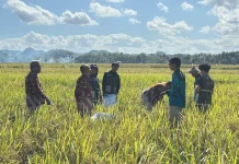 Panen Perdana Mannennungeng UKM KPI Unhas di Bone Sukses Lampaui Target