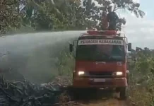 Damkar Bone Padamkan Kebakaran Lahan Tonra