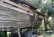 Seorang Janda di Bone Bertahan di Rumah Nyaris Roboh Demi Anak