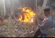 Aparat Polisi dan Tim Gabungan Bergerak Cepat Tangani Karhutla di Soppeng