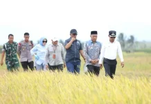 Bupati Bone Tegaskan Pertanian Modern Kunci Tingkatkan Kesejahteraan Petani