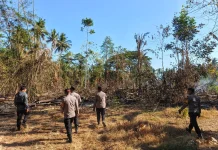 Kapolres Soppeng Cek Kebakaran, Warga Diminta Waspada