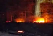 Karhutla Terjadi di Tellu Siattinge Bone, Api Padam 1,5 Jam