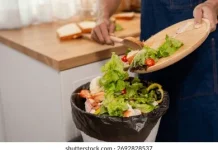 Bukan Cuma Plastik, Sampah Sisa Makanan Rumah Tangga Dominasi Limbah di Indonesia