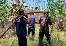 Kebakaran Lahan di Palattae Kahu Dipicu Pembakaran Sampah
