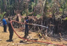 Kebakaran Lahan di Sibulue Dipadamkan dalam 47 Menit