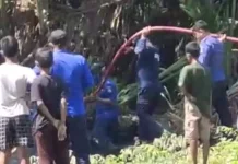 Kebakaran Lahan di Macanang, Damkar Bone Kerahkan Armada
