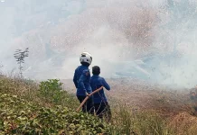 Bakar Lahan Picu Kebakaran di Lamuru Bone, Rugi Rp6 Juta