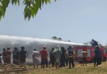 Pembakaran Sampah Picu Kebakaran Lahan di BTN Mahkota 2