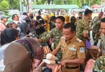 Bupati Bone Borong Produk UMKM di Peringatan HUT TNI